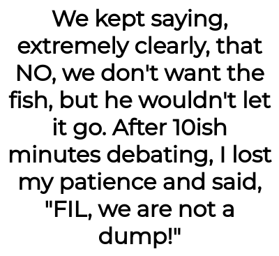 Image credit: naive-turnip-9657 | naive-turnip-9657