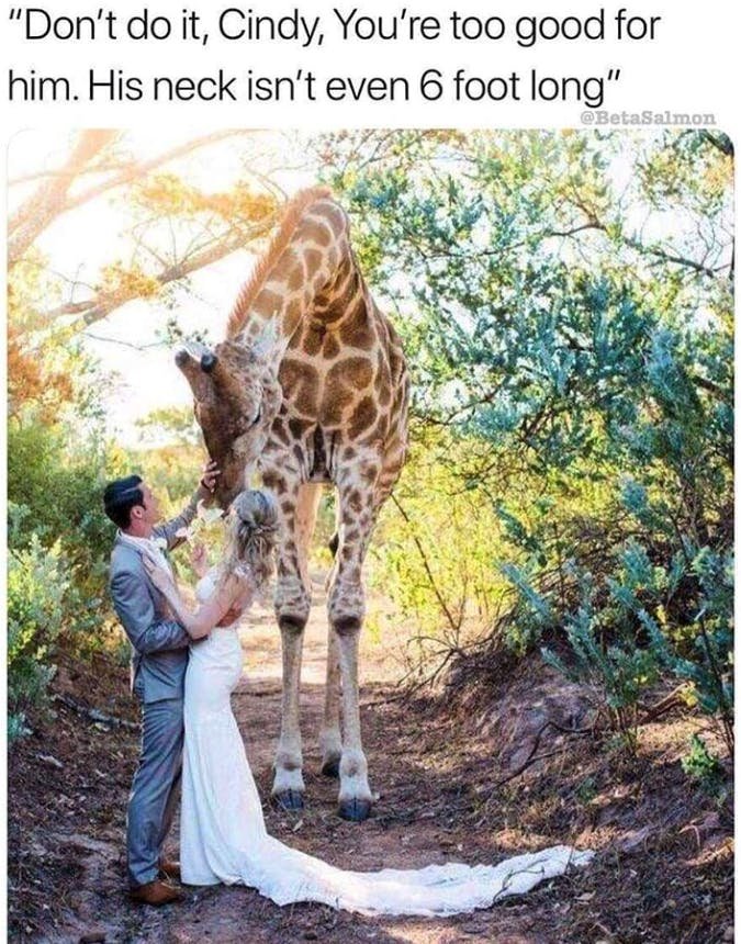 Image credit: Instagram | @thebestoftumblrofficial