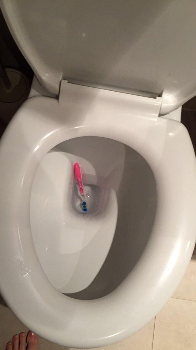 Image credit: Reddit | Carinamaple8