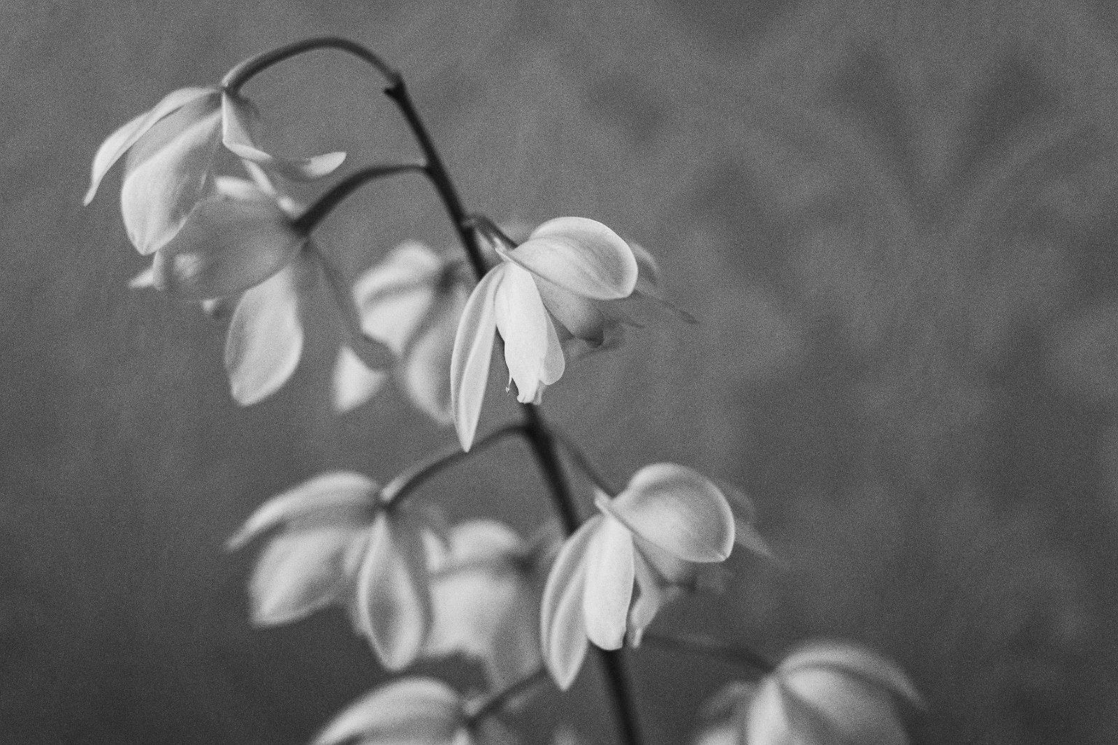 Image credit: Unsplash | Claire Kelly