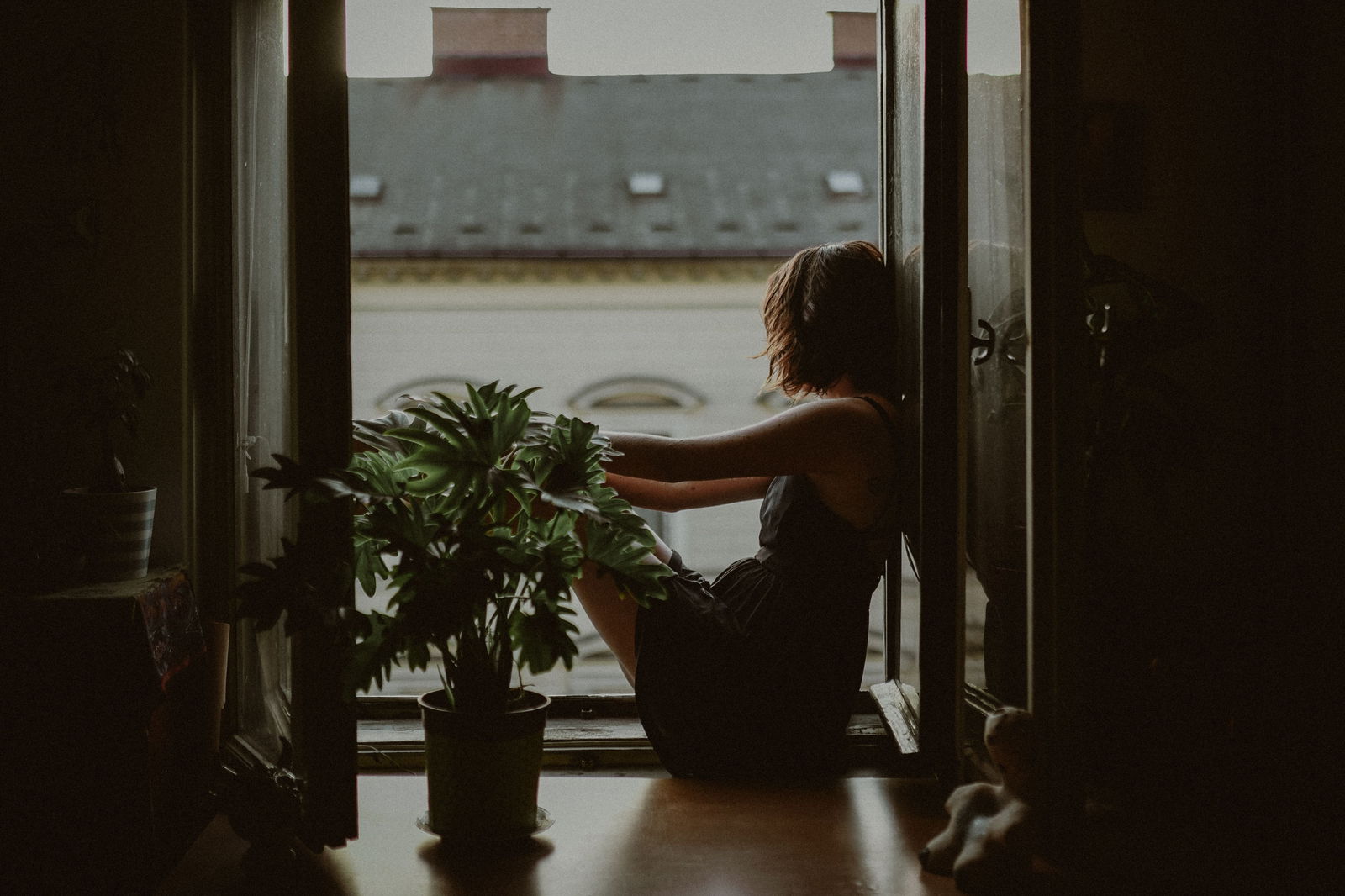 Image credit: Unsplash | Kinga Cichewicz