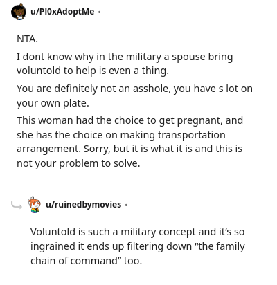 Image credit: Pl0xAdoptMe | Pl0xAdoptMe