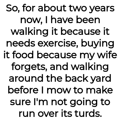 Image credit: Ancient-Move-8356 | Ancient-Move-8356