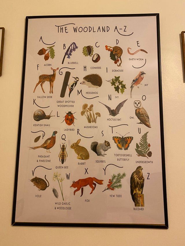 Image credit: Reddit | singingsimone