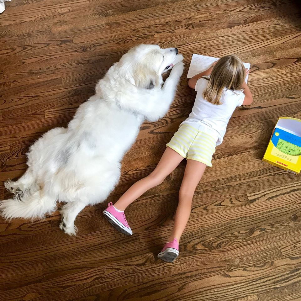 Image credit: Facebook | READing Paws
