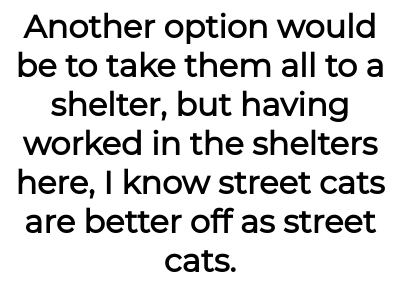 Image credit: catladyaita | catladyaita
