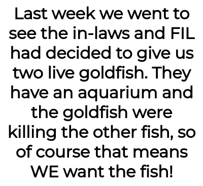 Image credit: naive-turnip-9657 | naive-turnip-9657