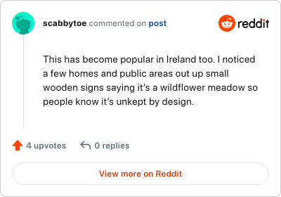 Image credit: scabbytoe | scabbytoe