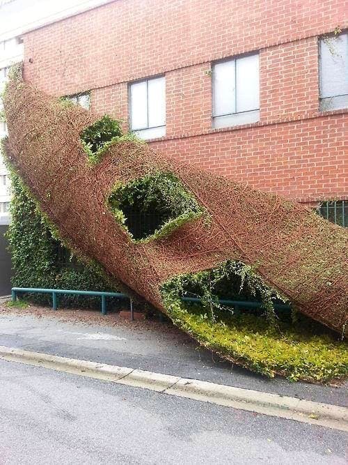 Image credit: Reddit | buzznights