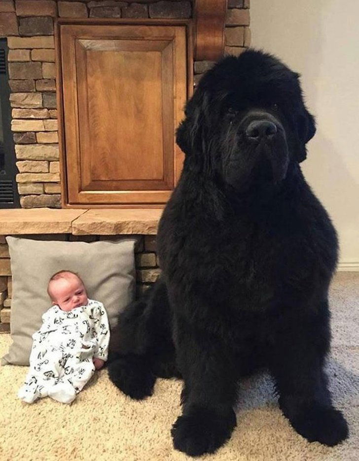 Image credit: Reddit l BlondeAussieGirl1990