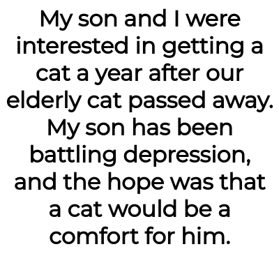 Image credit: LottieLady97 | LottieLady97