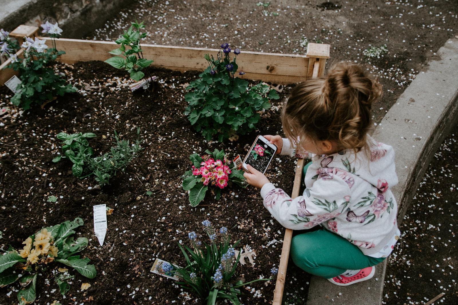 Image credit: Unsplash | Kelly Sikkema