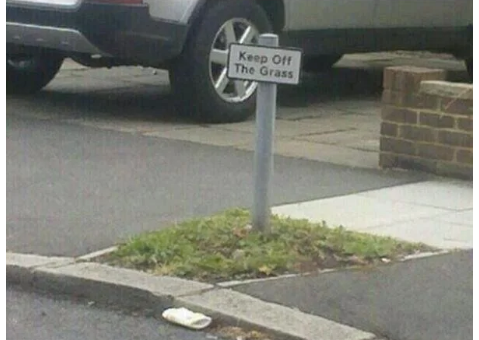 Image credit: Reddit | SayRedditLikeAFrog