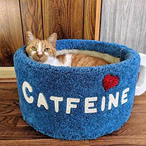Image credit: Etsy l CaptCatnip