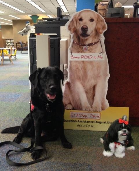 Image credit: Facebook | READing Paws