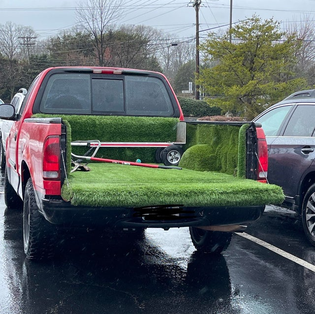 Image credit: Reddit | thesmallshadows