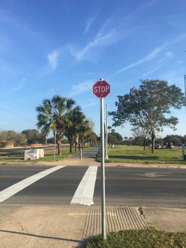 Image credit: Reddit