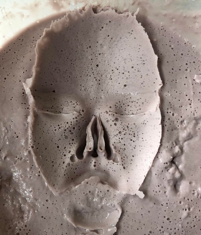 Image credit: Reddit | desertplumes