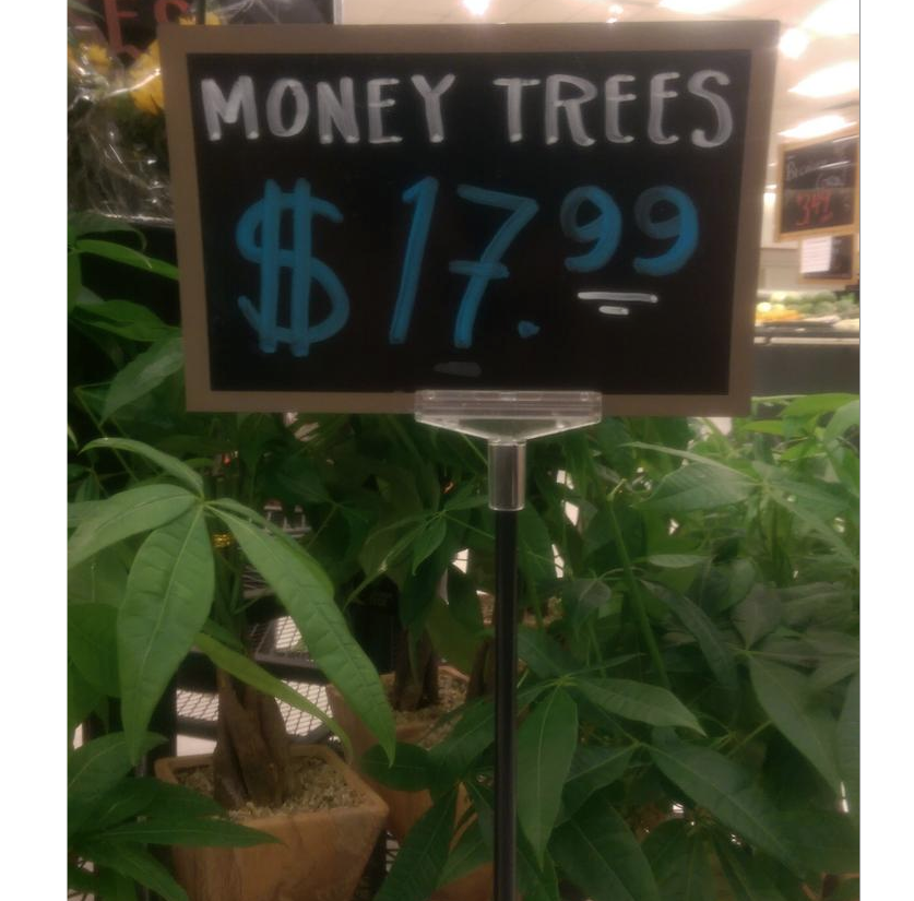 Image credit: Reddit | relevant84