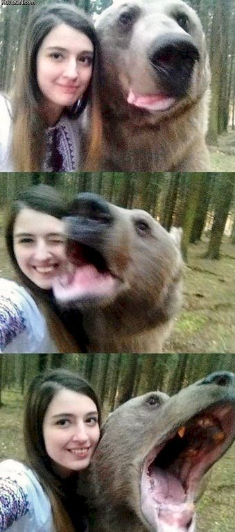 Image credit: Reddit | nocturnalfrolic