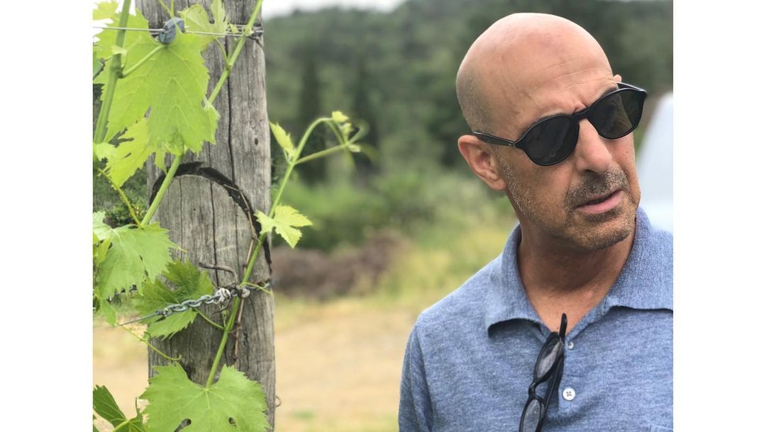 Image credit: Instagram | @stanleytucci