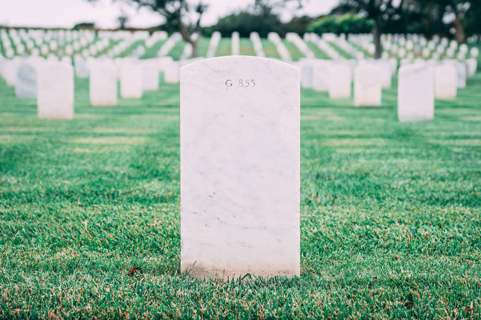 Image credit: Unsplash | Matt Botsford