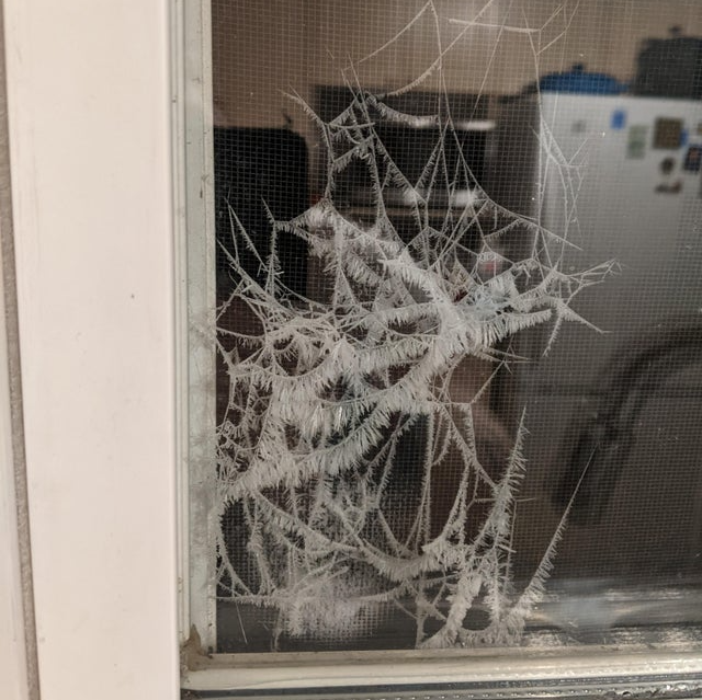 Image credit: Reddit | UxControl