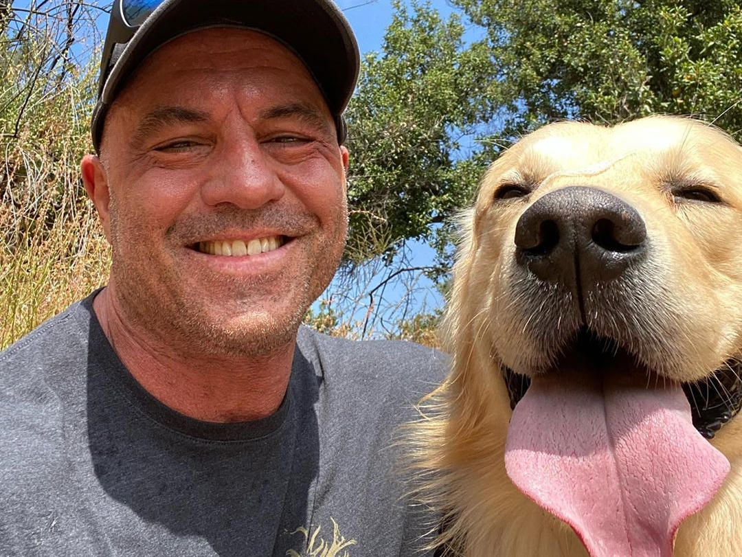 Image credit: Instagram | @joerogan