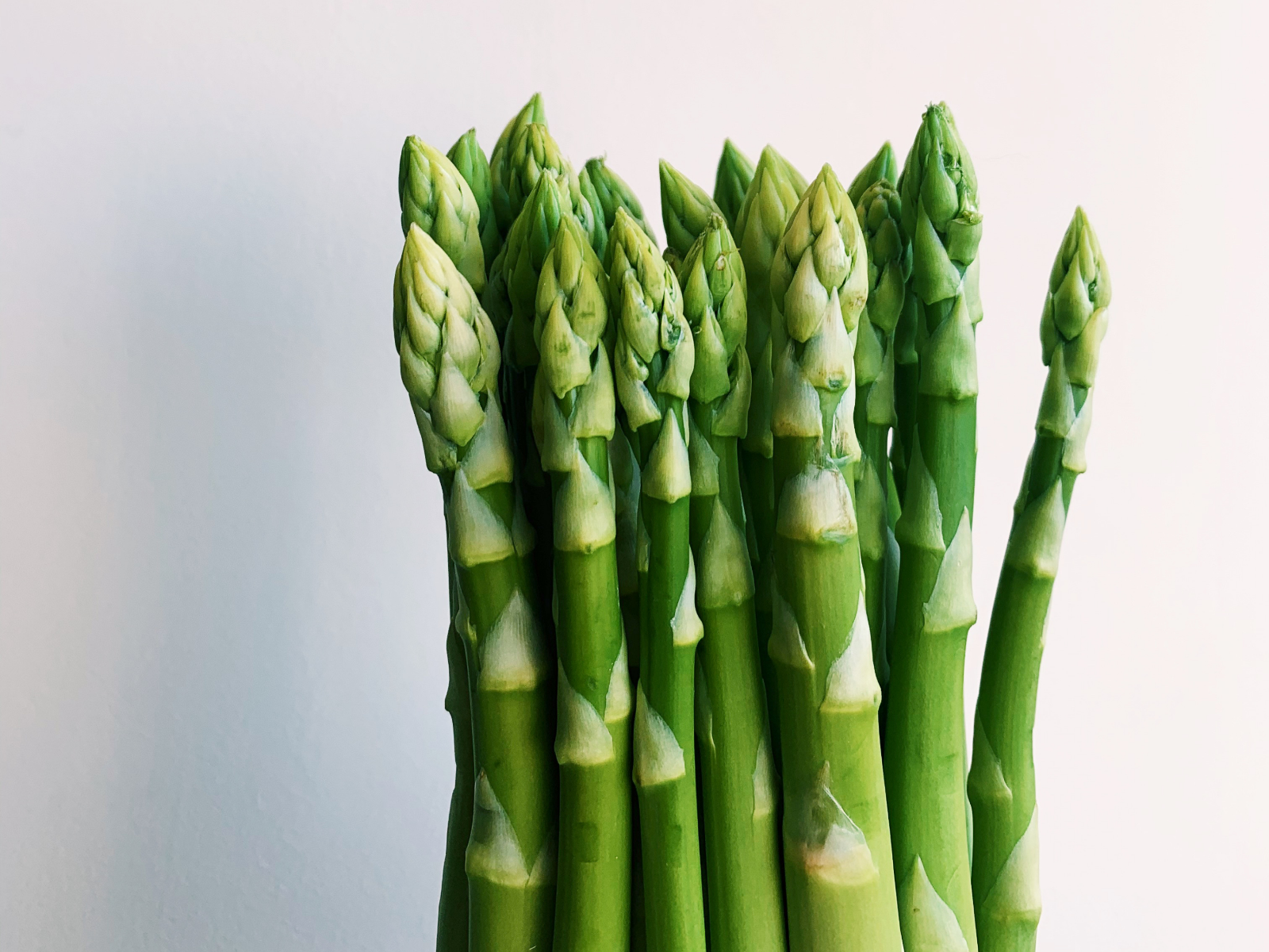 Image credit: Unsplash | Alisa Golovinska