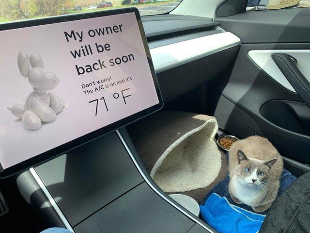 Image credit: Reddit | u/Tempora9359