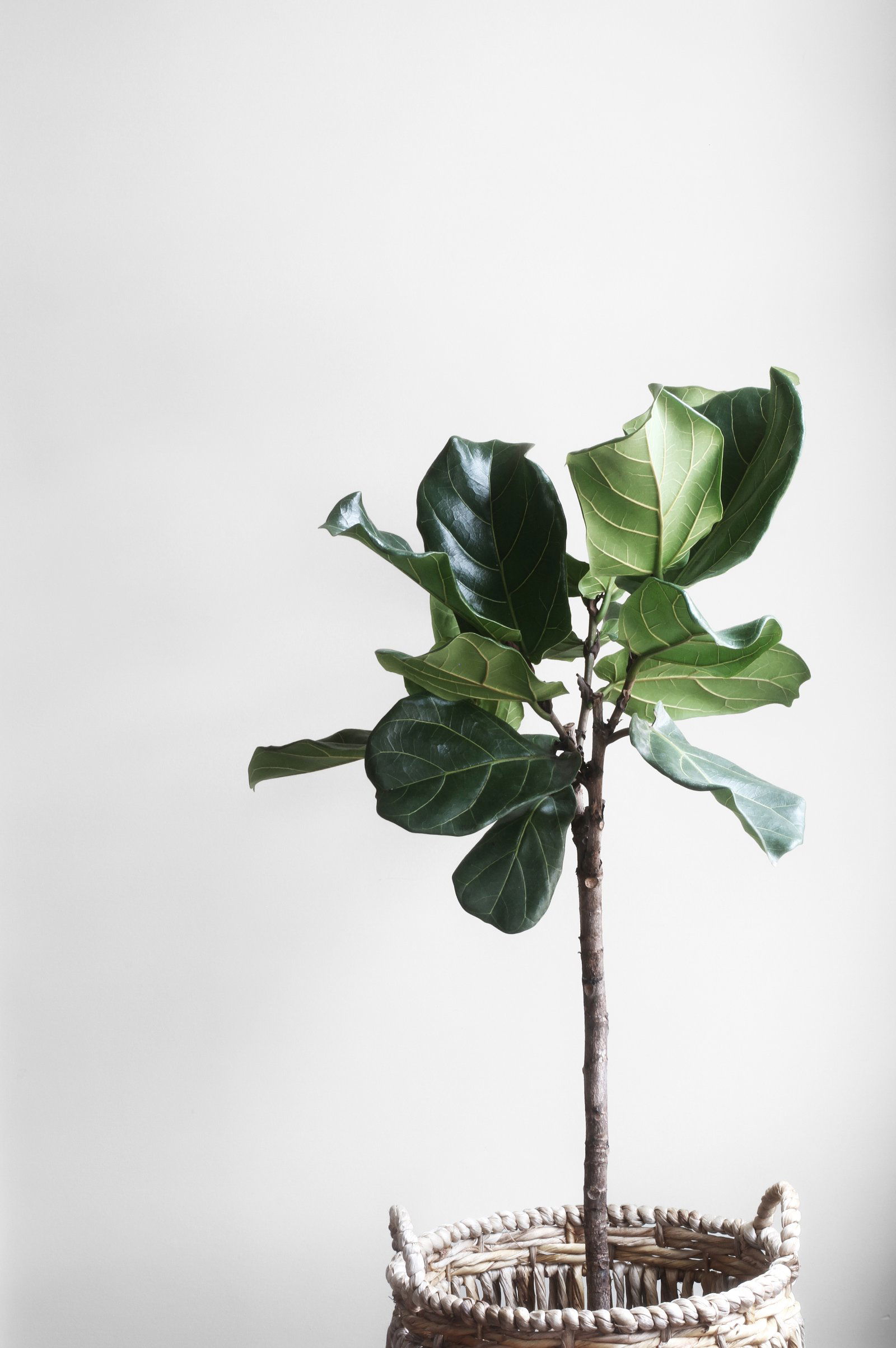 Image credit: Unsplash | Lauren Mancke