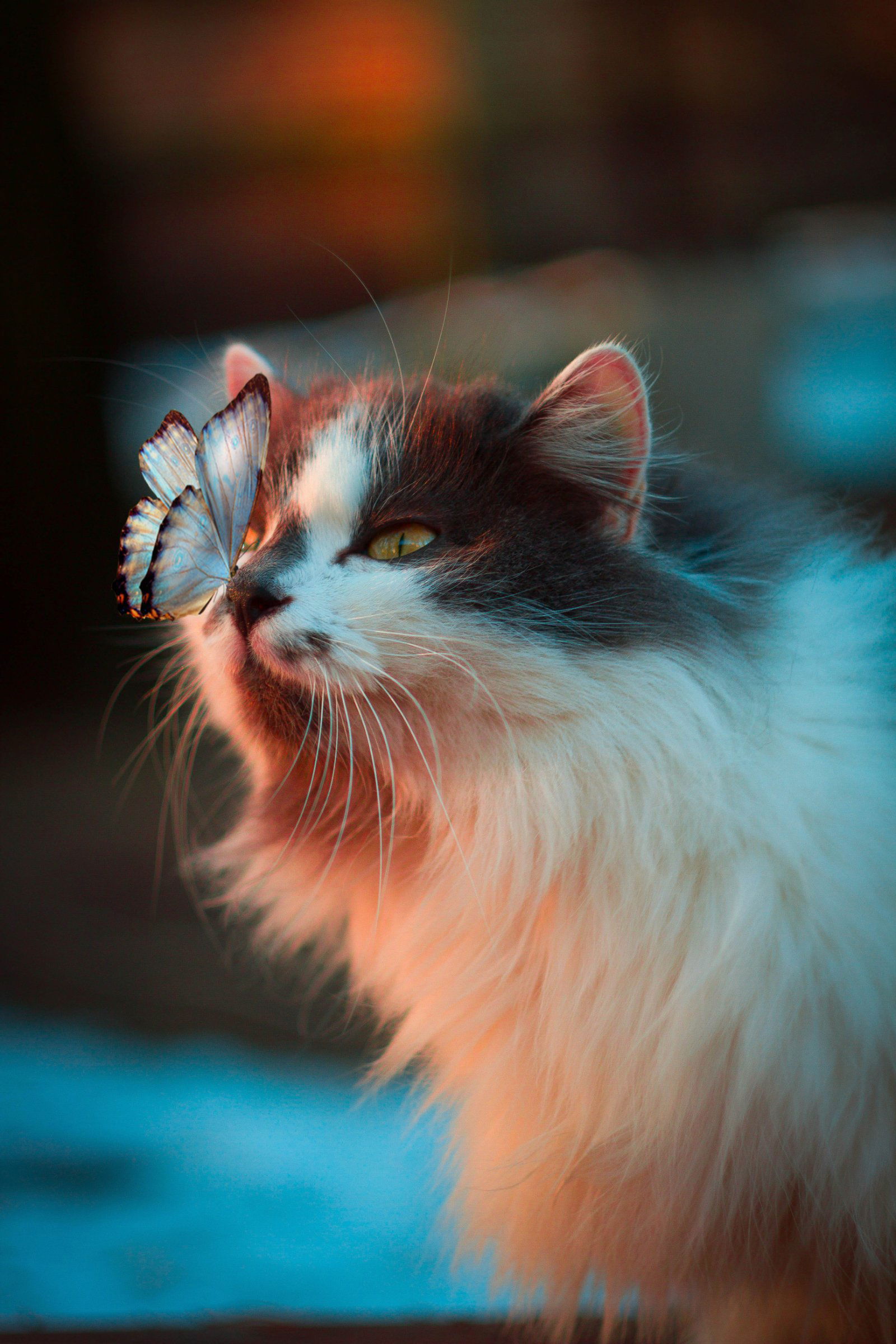 Image credit: Unsplash | Karina Vorozheeva