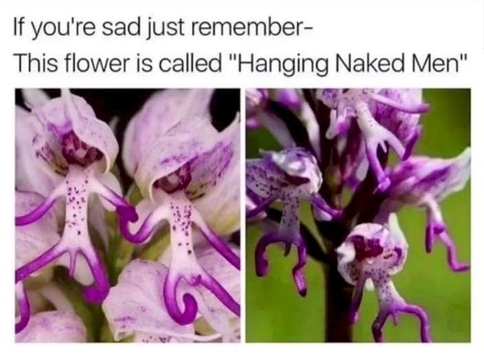 Image credit: Reddit | popoiied