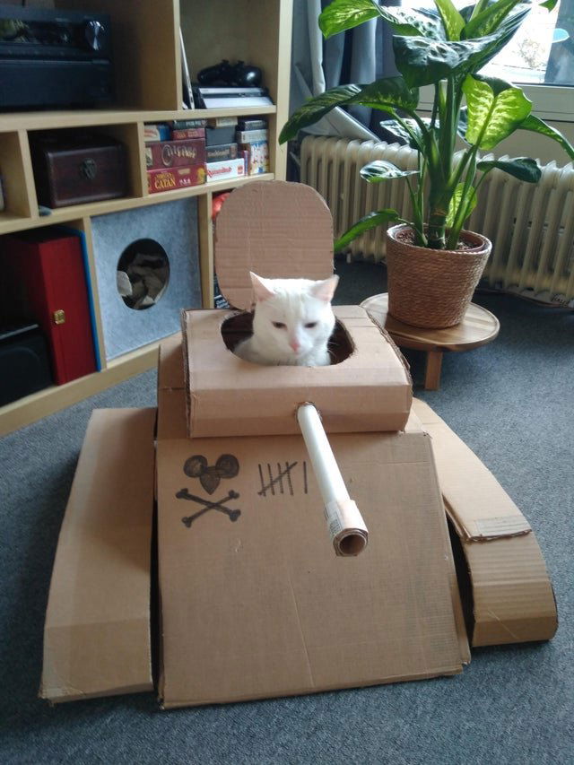 Image credit: Reddit | huh_wat_huh