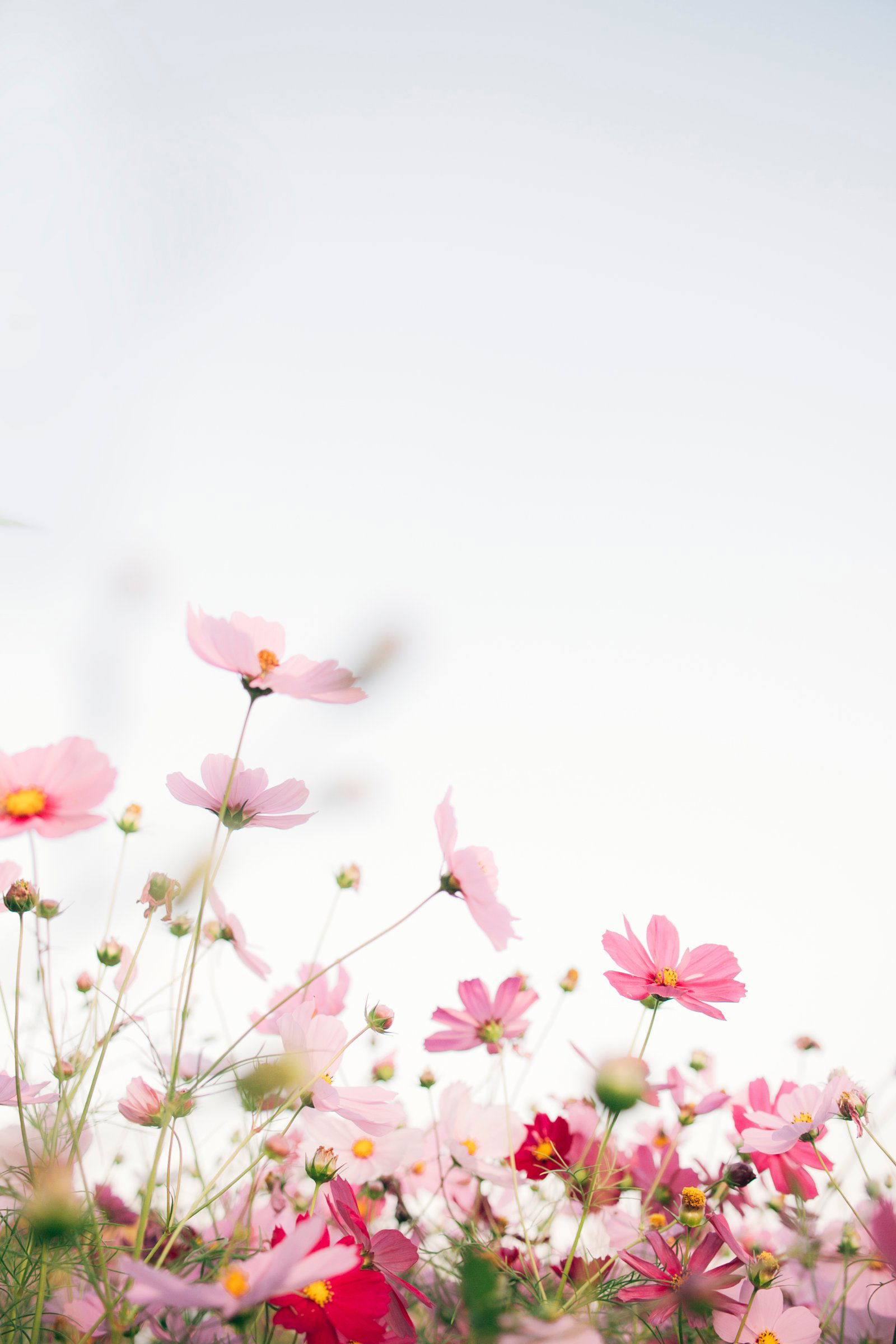 Image credit: Unsplash | TOMOKO UJI