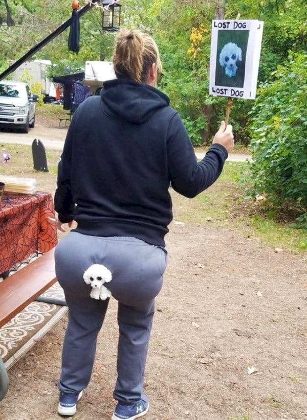 Image credit: The Chive