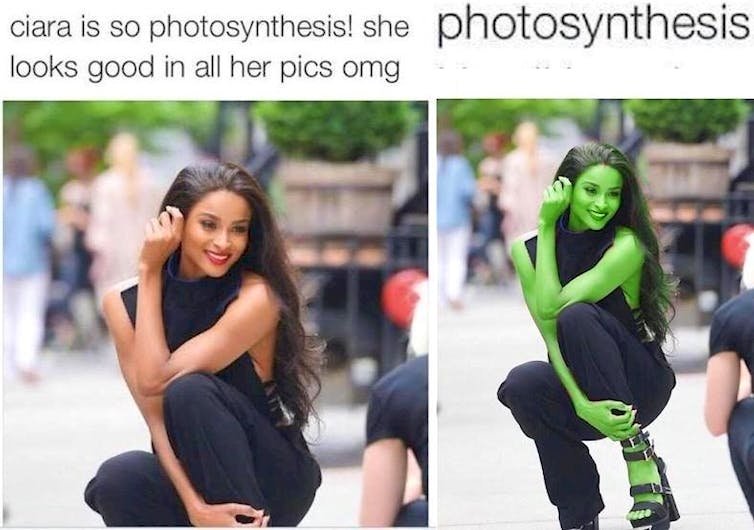 Image credit: Reddit | [deleted]