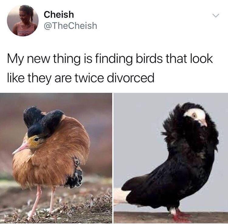 Image credit: Reddit | BubblyRN
