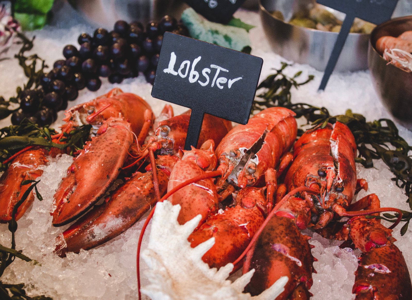 Image credit: Unsplash | Louis Hansel