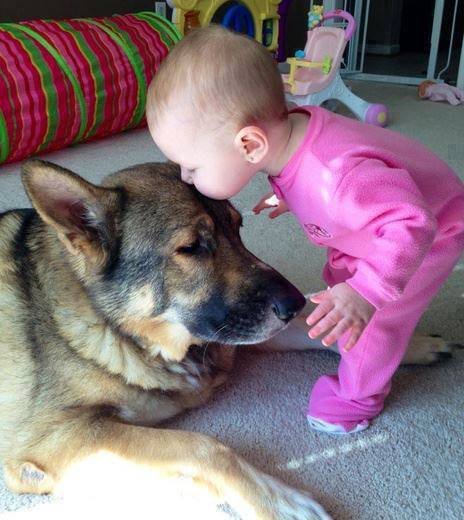 Image credit: Pinterest