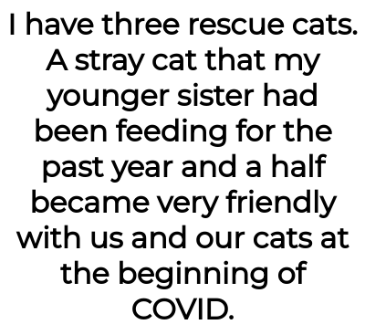 Image credit: catladyaita | catladyaita