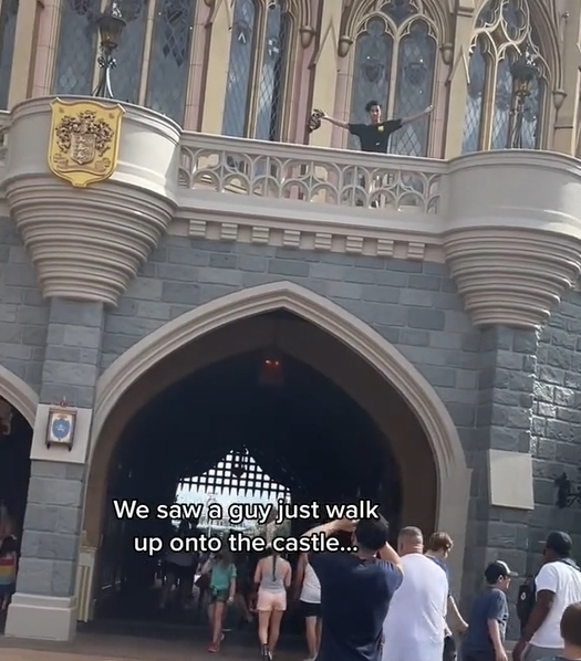 Image credit: TikTok | @princessshannon