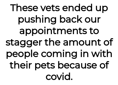 Image credit: catladyaita | catladyaita