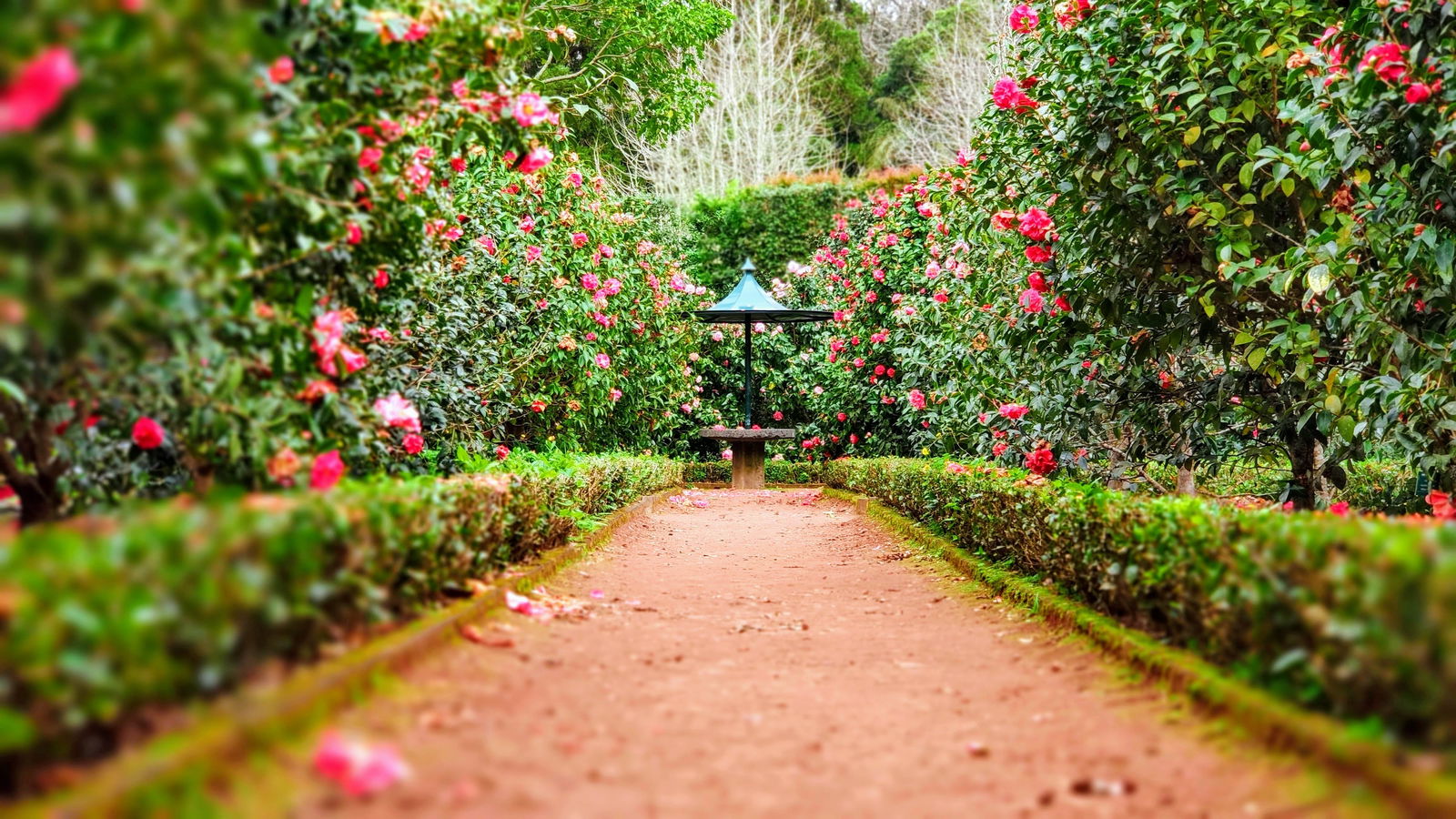 Image credit: Unsplash | Ignacio Correia