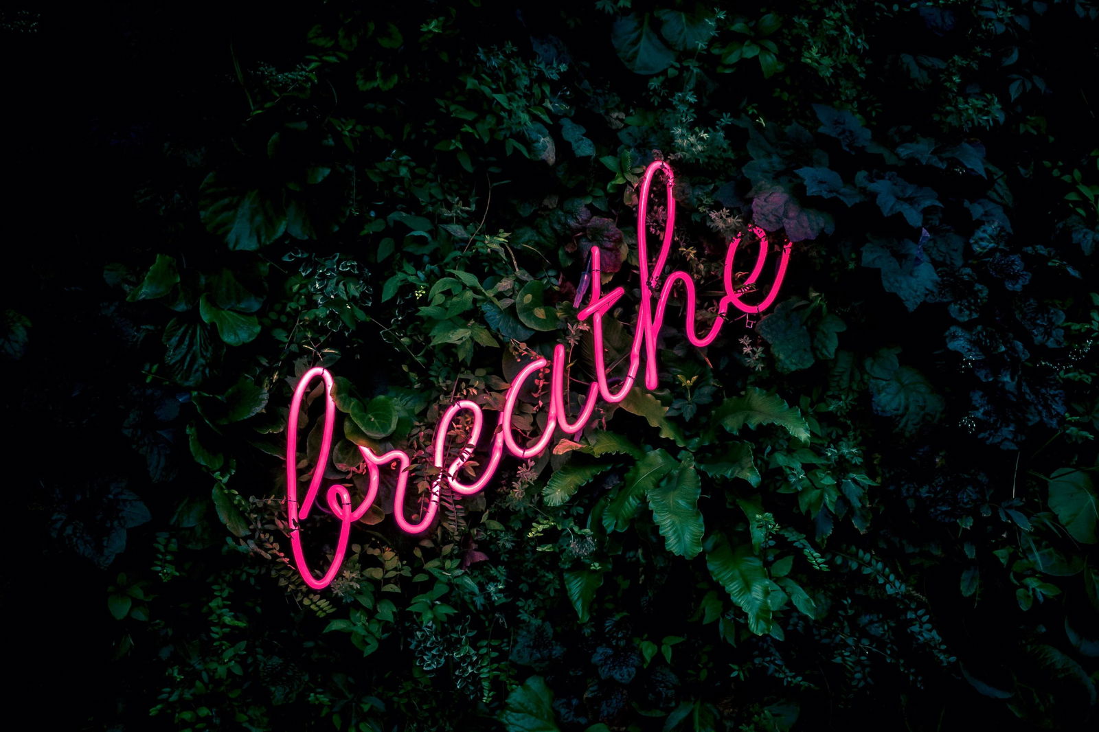 Image credit: Unsplash | Fabian Møller