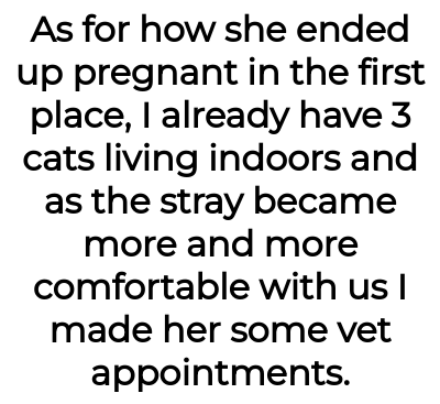Image credit: catladyaita | catladyaita
