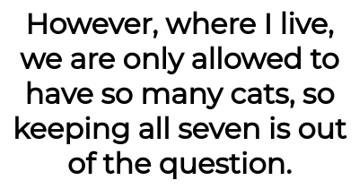 Image credit: catladyaita | catladyaita