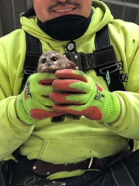Image credit: Facebook | Ravensbeard Wildlife Center