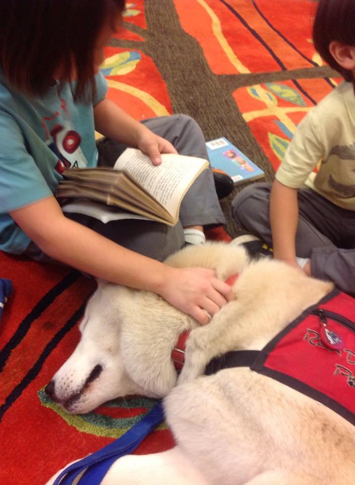Image credit: Facebook | READing Paws