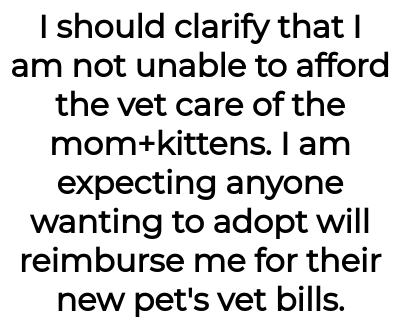 Image credit: catladyaita | catladyaita